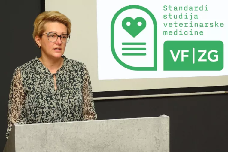 Danijela Horvatek Tomić