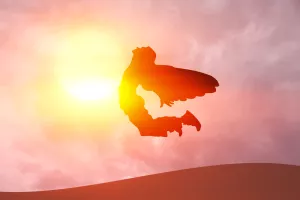 Dizalice topline: Put do energetski neovisnog doma