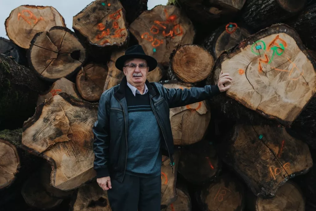 Ante Mijić, Quercus