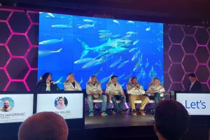 Lets care about each other White Shark