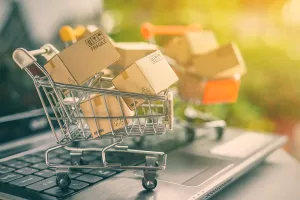 online trgovina, potražnja, košarica, kupovina, kupnja, shopping