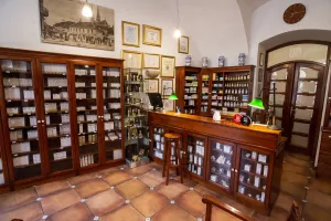 Priroda liječi, Nikel