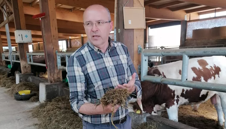 Mladen Ku&scaron;eković