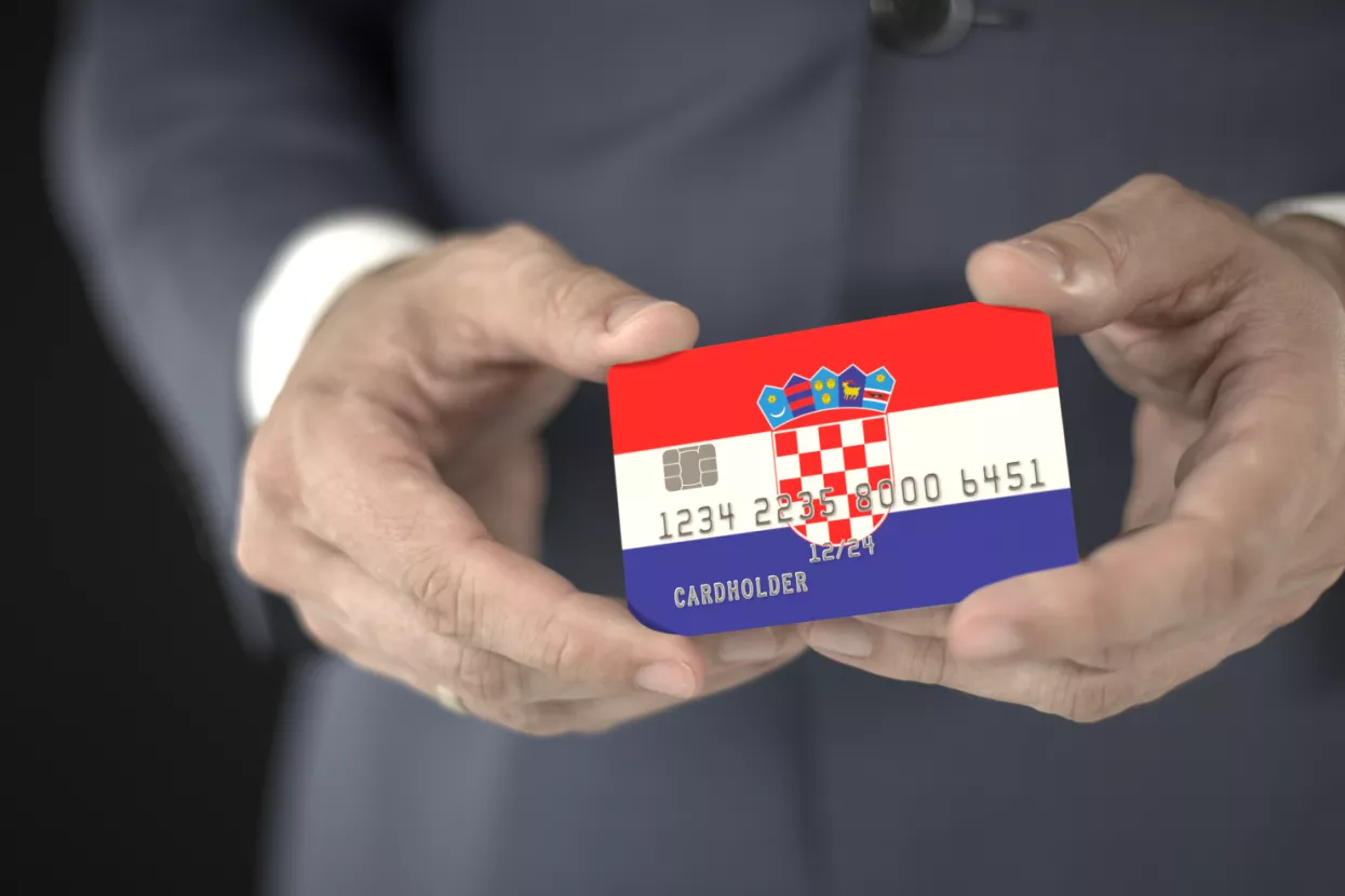 hrvatska, poduzetnici