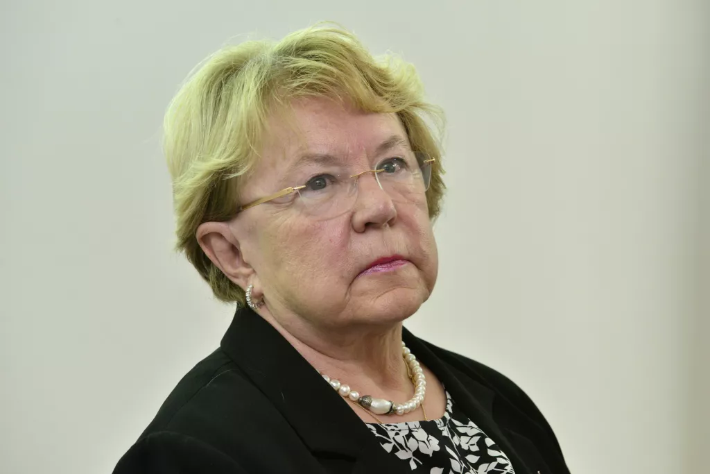 Lider invest sjever, Bernarda Cecelja