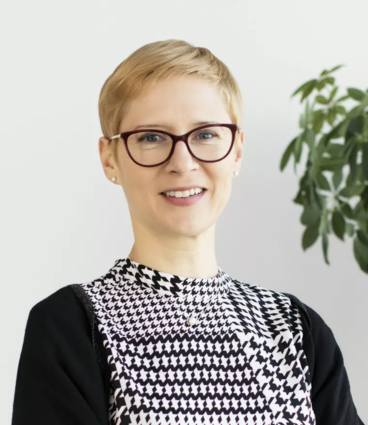 Ivana Rapić, Hrvatska revizorska komora