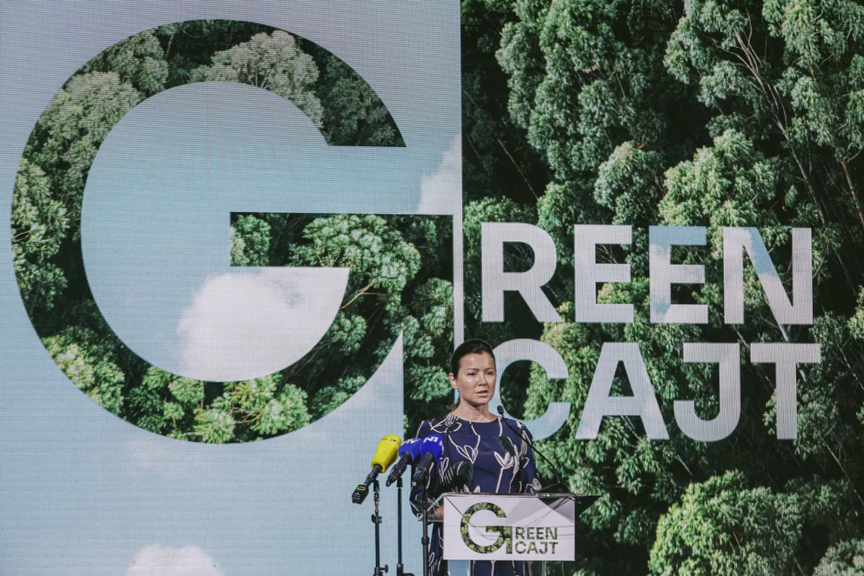 Greencajt festival, martina bienenfeld