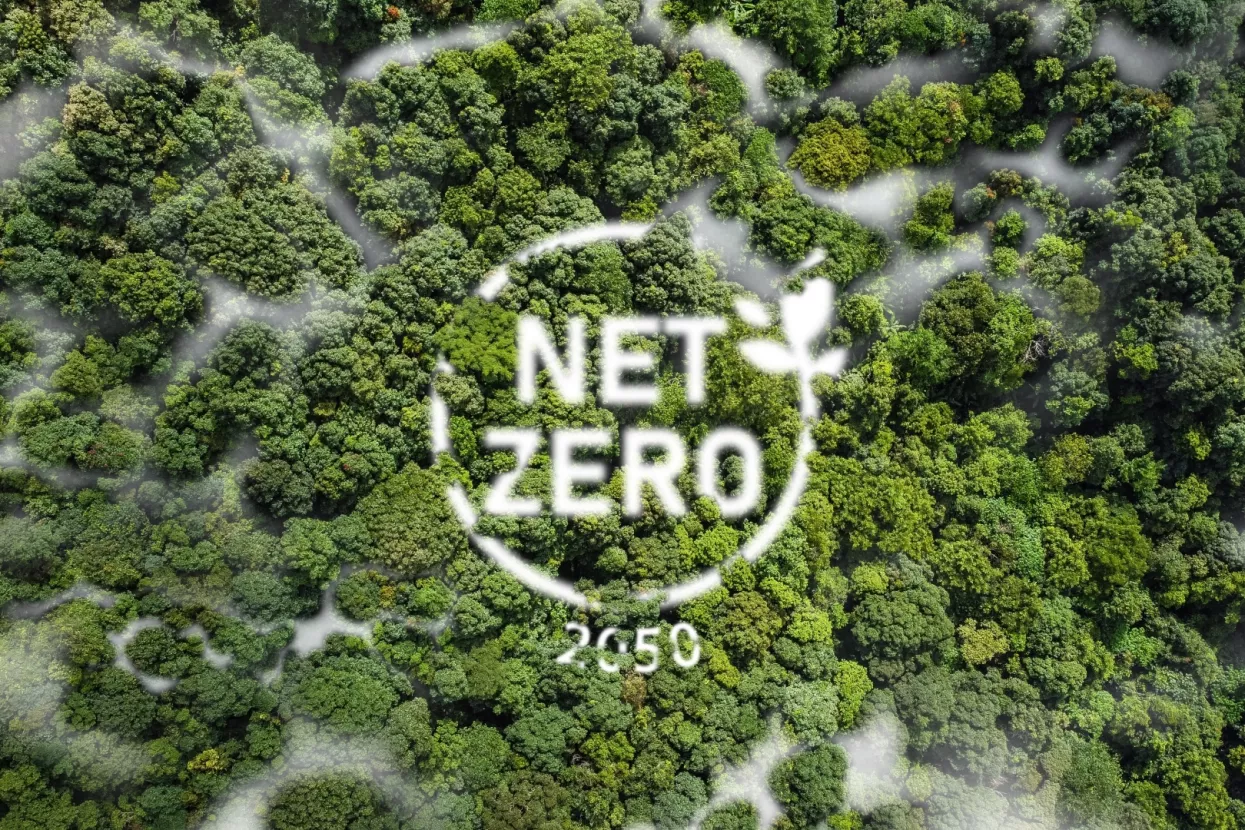 net zero koncept