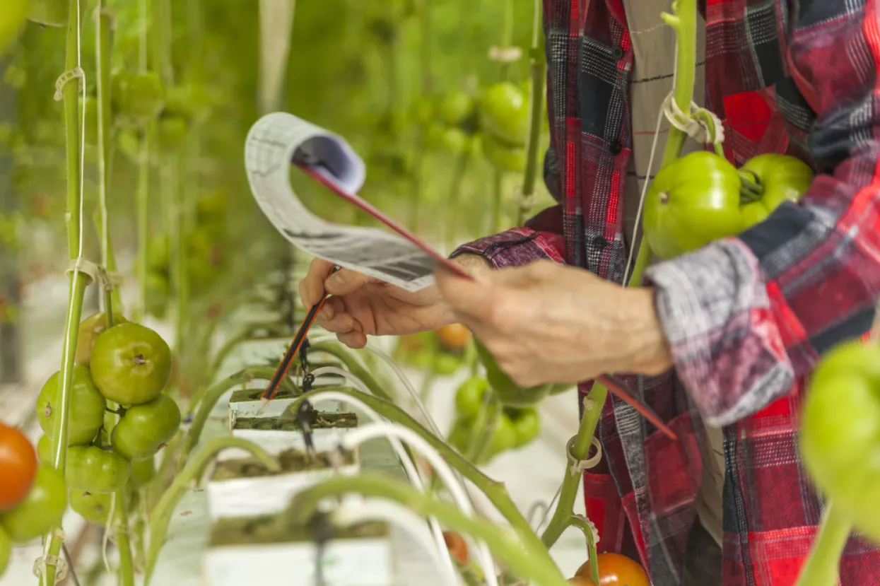 funkcionalnost hrane, proizvodnja