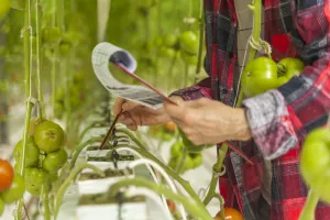 funkcionalnost hrane, proizvodnja