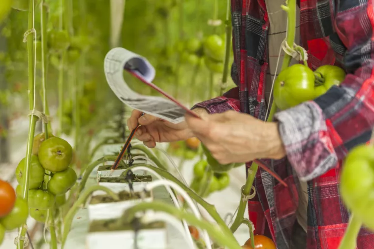 funkcionalnost hrane, proizvodnja