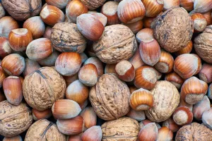 orasi, lješnjaci, orah, lješnjak, orašasti plodovi