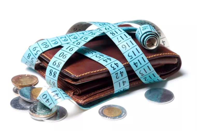 životni standard, kriza, pad potrošnje, štednja