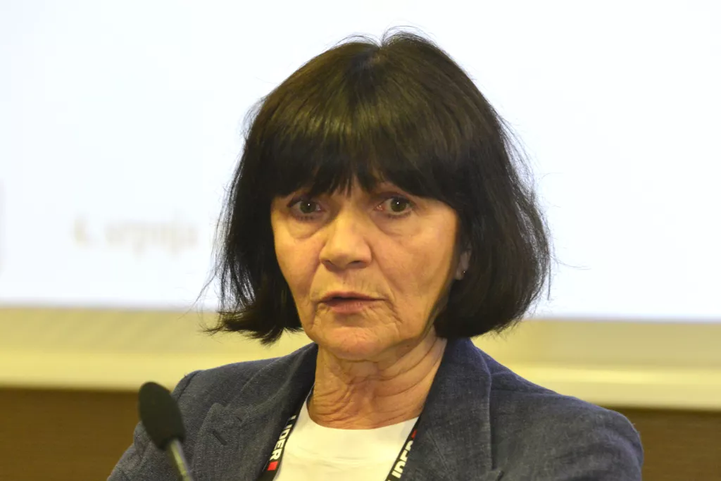 10. konferencija o izvozu, Srebrenka Saks