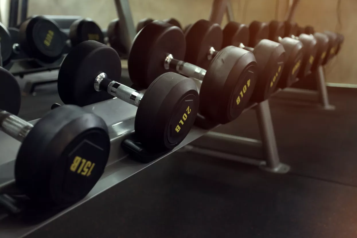 trening, utezi, uteg, teretana, gym