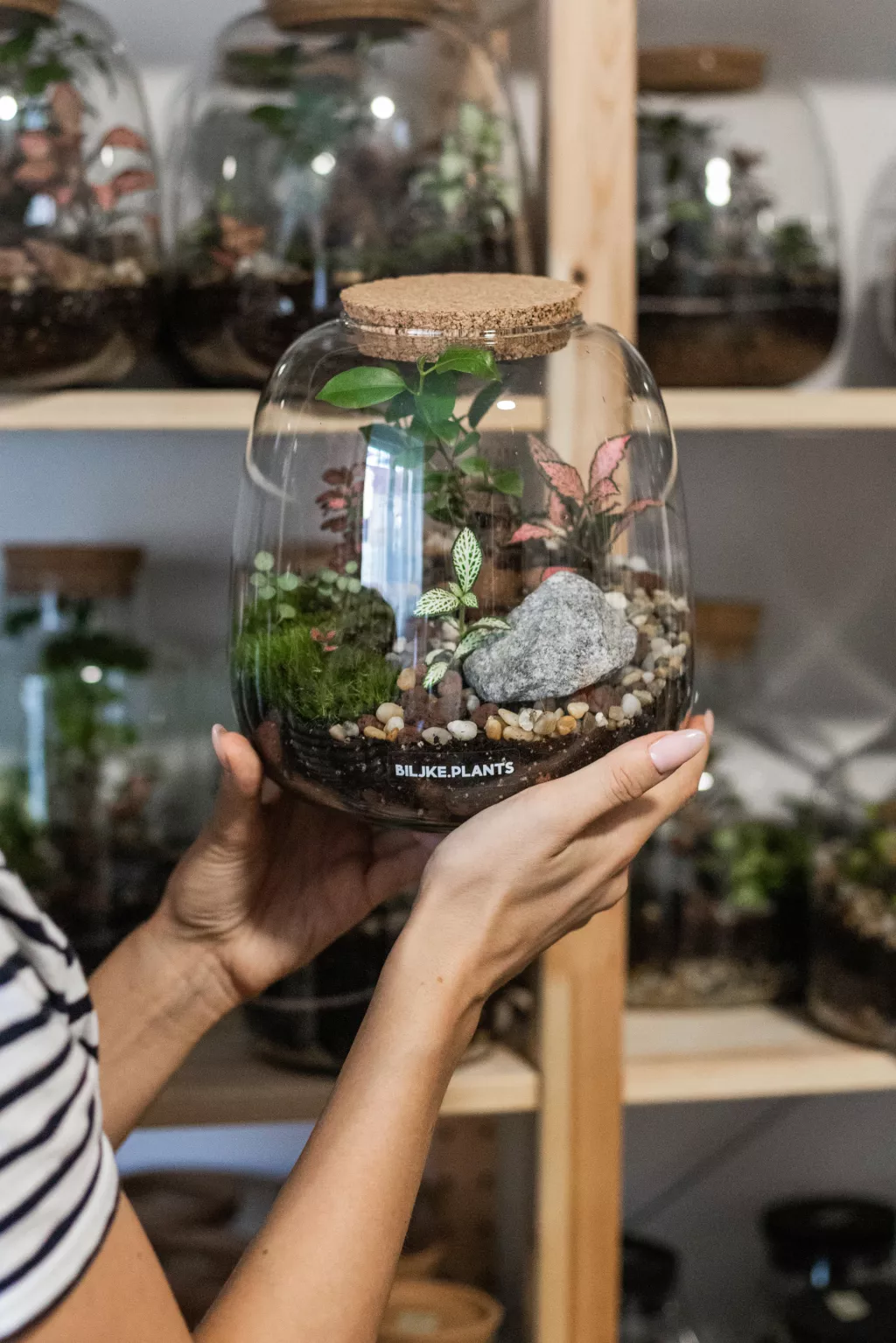 Biljke.Plants trgovina