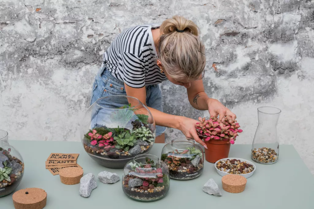 Biljke.Plants trgovina