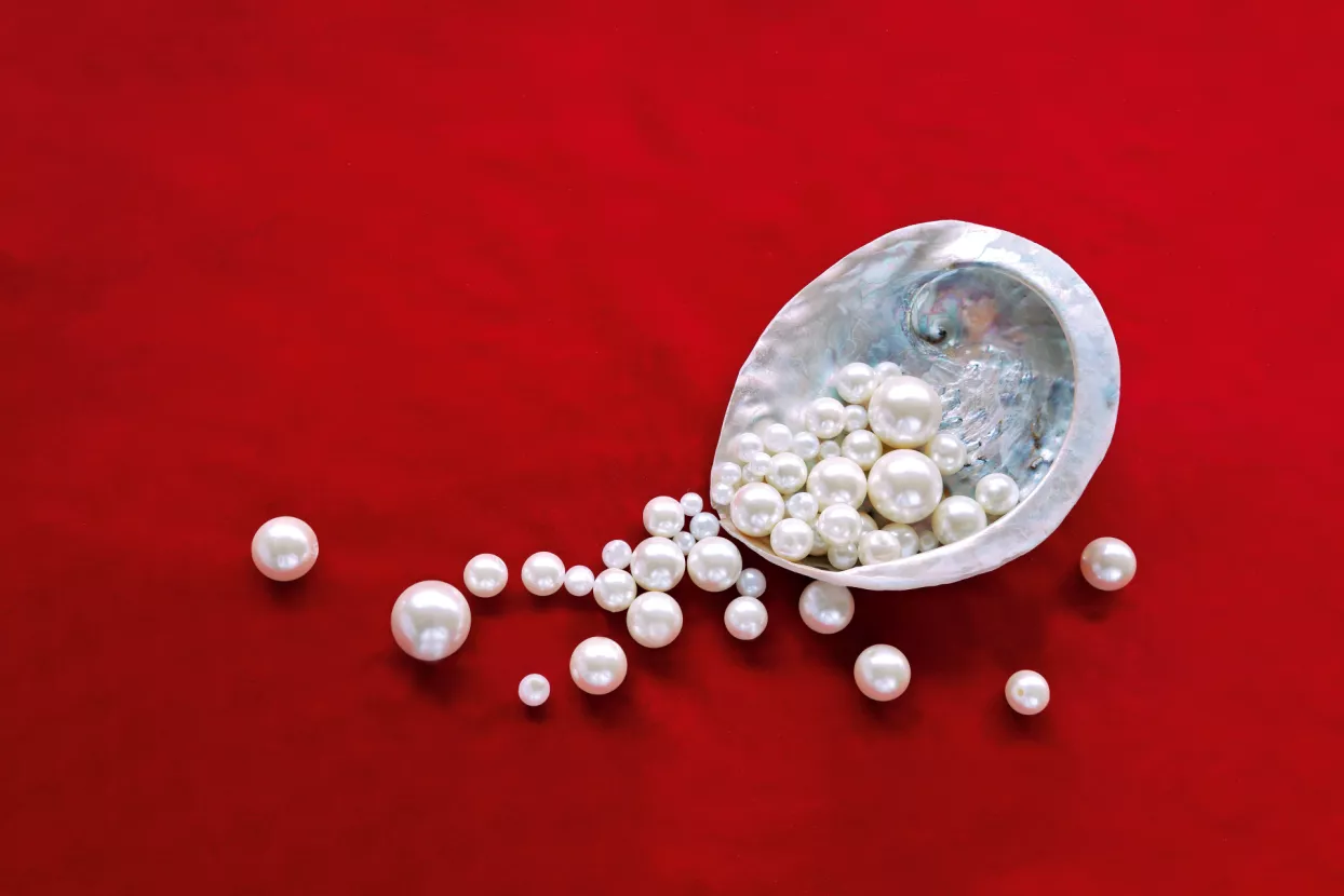 20 vrhunskih projekata