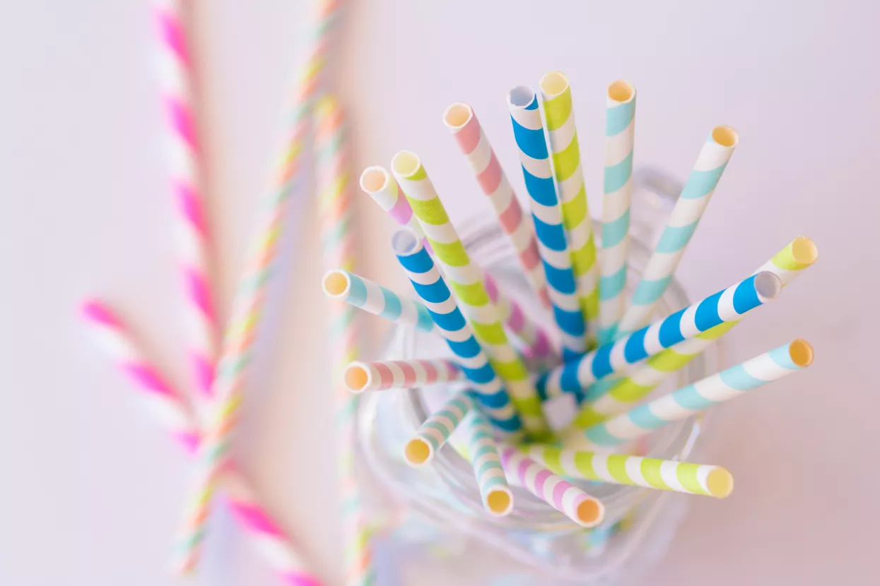 Papirnate slamke, slamke