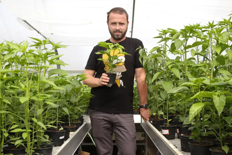 Goran Vrabec, Volim ljuto d.o.o.