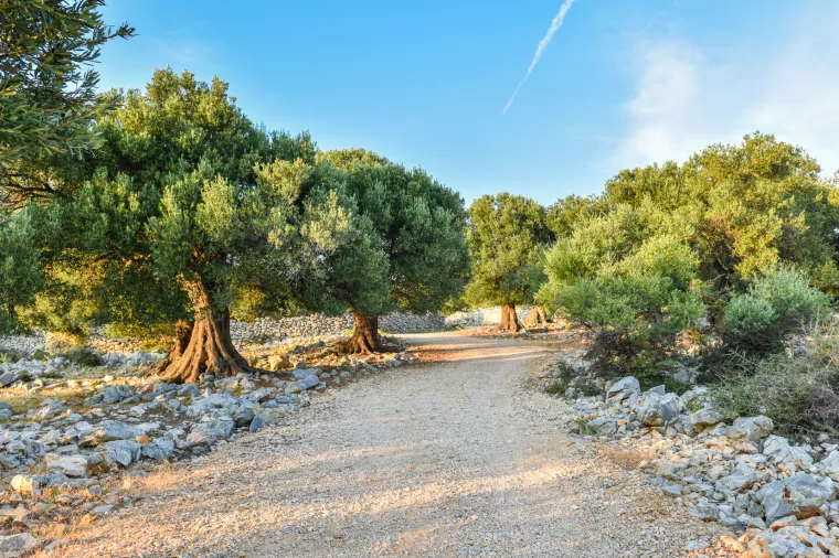 Poljoprivredno zemljište: Hoće li stranci sada navaliti na parcele na obali?