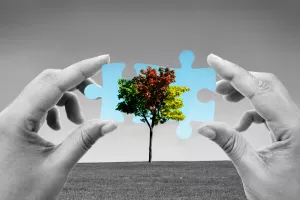 Zelena tranzicija, zelena agenda, okoliš, ekologija