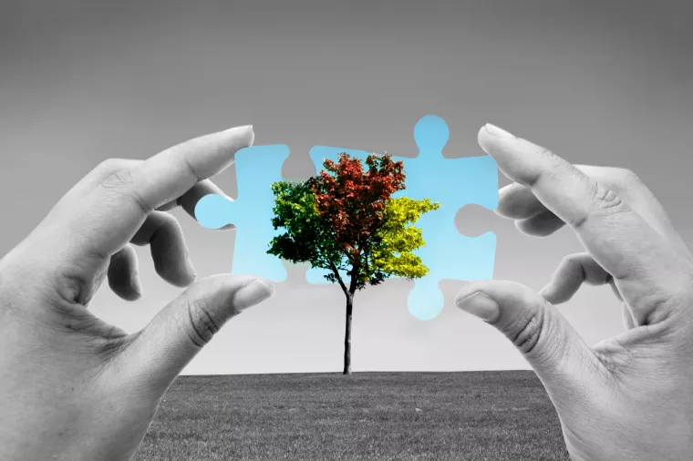 Zelena tranzicija, zelena agenda, okoliš, ekologija