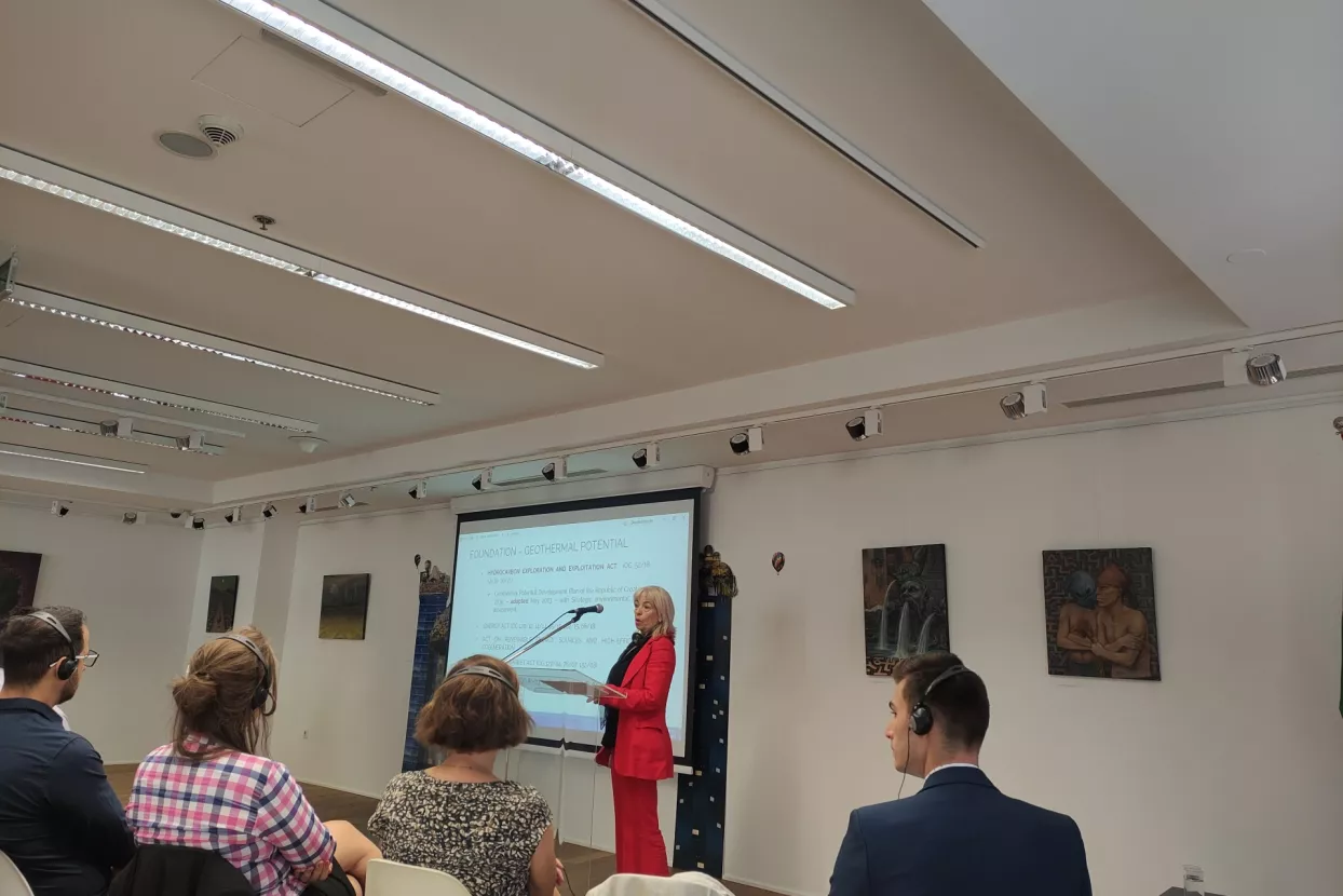 Jadranka Leško, iz Uprave za energetiku Ministarstva gospodarstva i održivog razvoja.