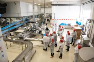 Podravka, Zaokret Žita