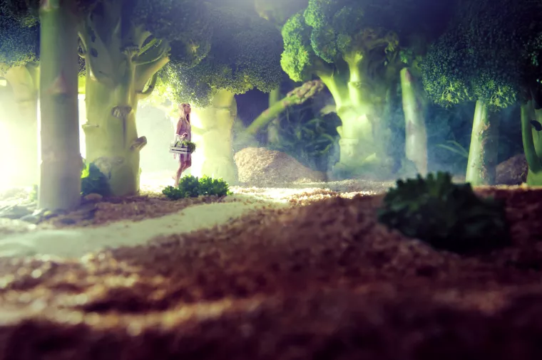 Znaju što jedemo: Dio smo najstrožeg sustava sigurnosti hrane u svijetu