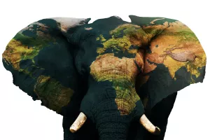 Uzlet tehnologije eDNA: Okolišni DNK otkriva kako tko utječe na ekosustav