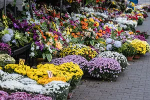 Svi Sveti, blagdan Svih Svetih, cvijeće za groblje