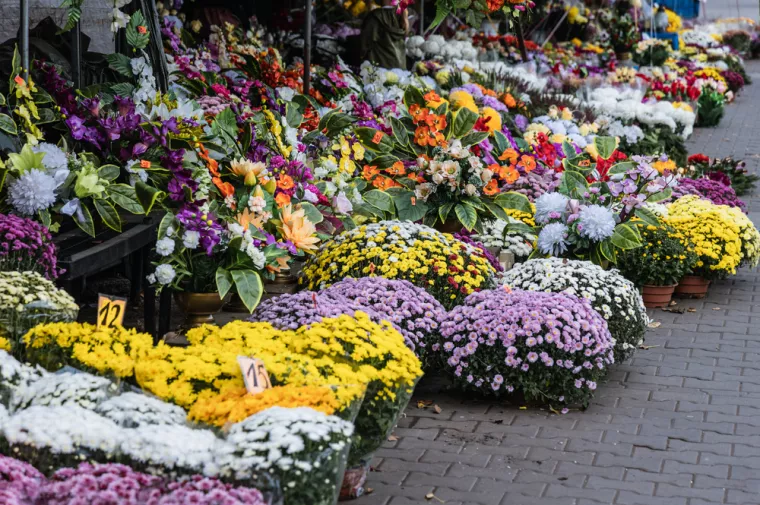 Svi Sveti, blagdan Svih Svetih, cvijeće za groblje