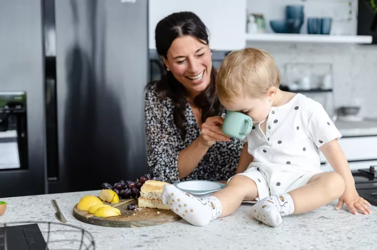 EU platforma Siterice.hr