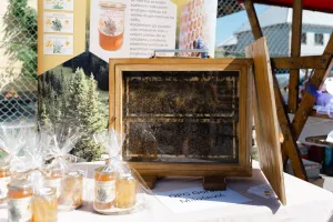 Spasi pčelu, posadi jelu