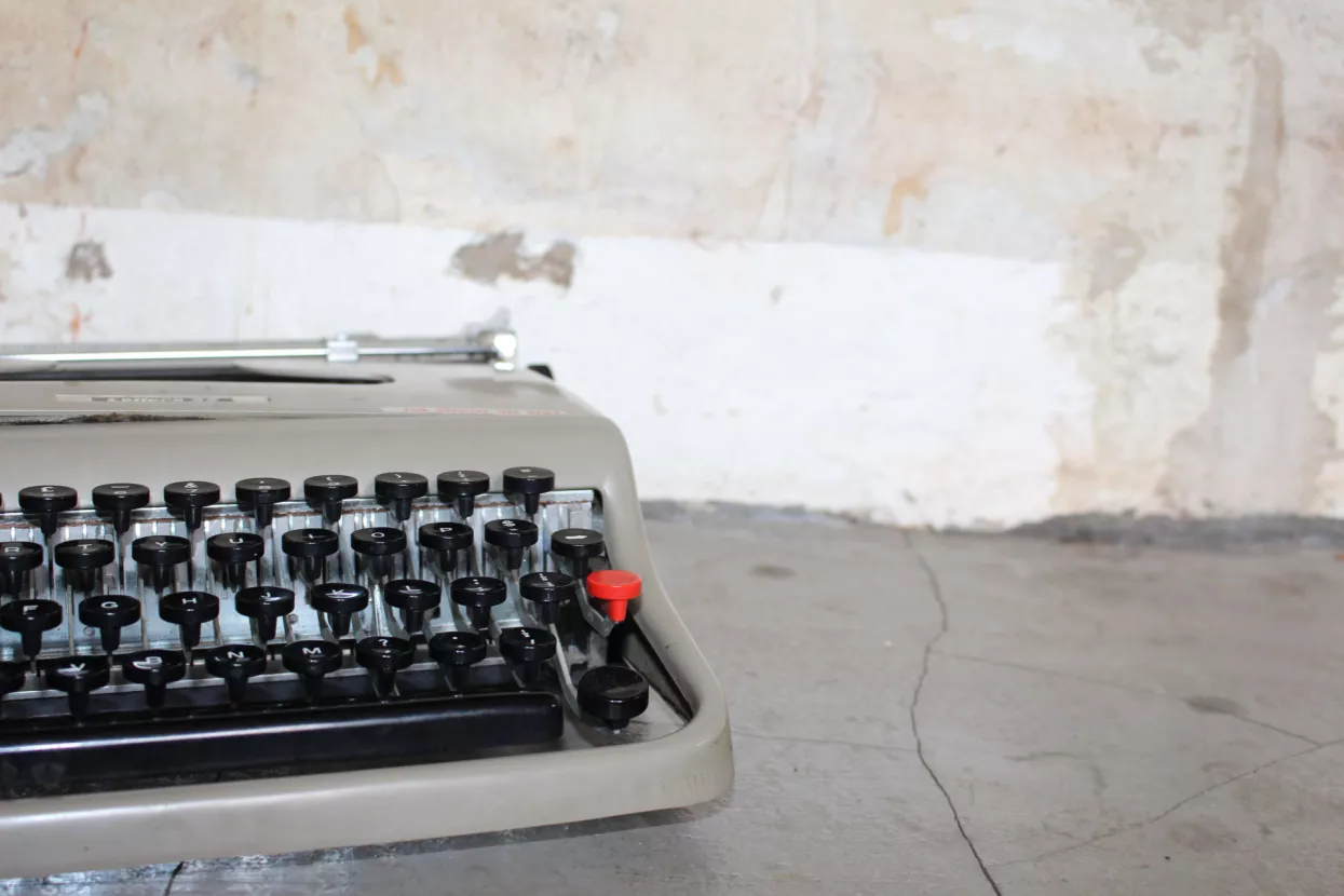 pisac, kroničar, kolumnist