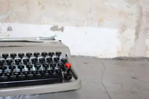 pisac, kroničar, kolumnist