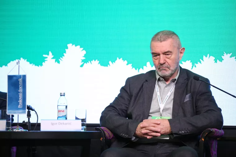 Igor Dekanić, stručnjak za energetiku