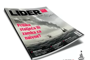 Lider 951/952 zavijusa