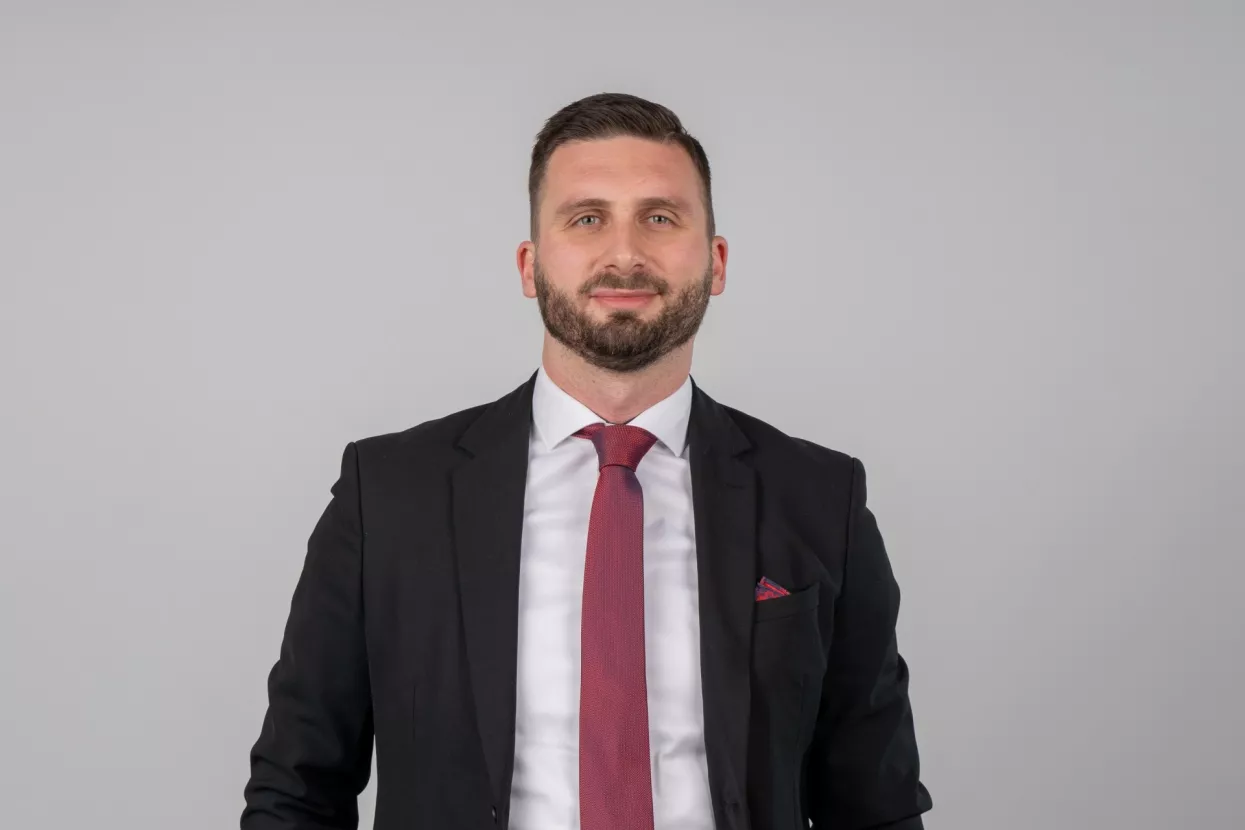 Ante Salopek, Deloitte