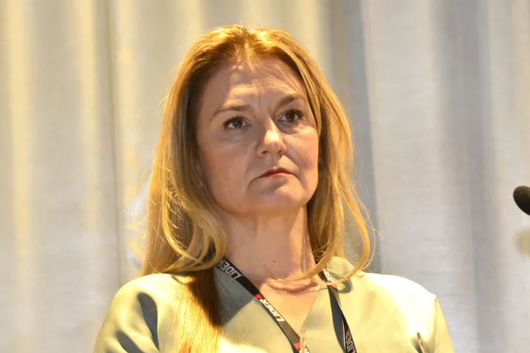 ENERGETSKA BUDUĆNOST HRVATSKE, Maja Pokrovac