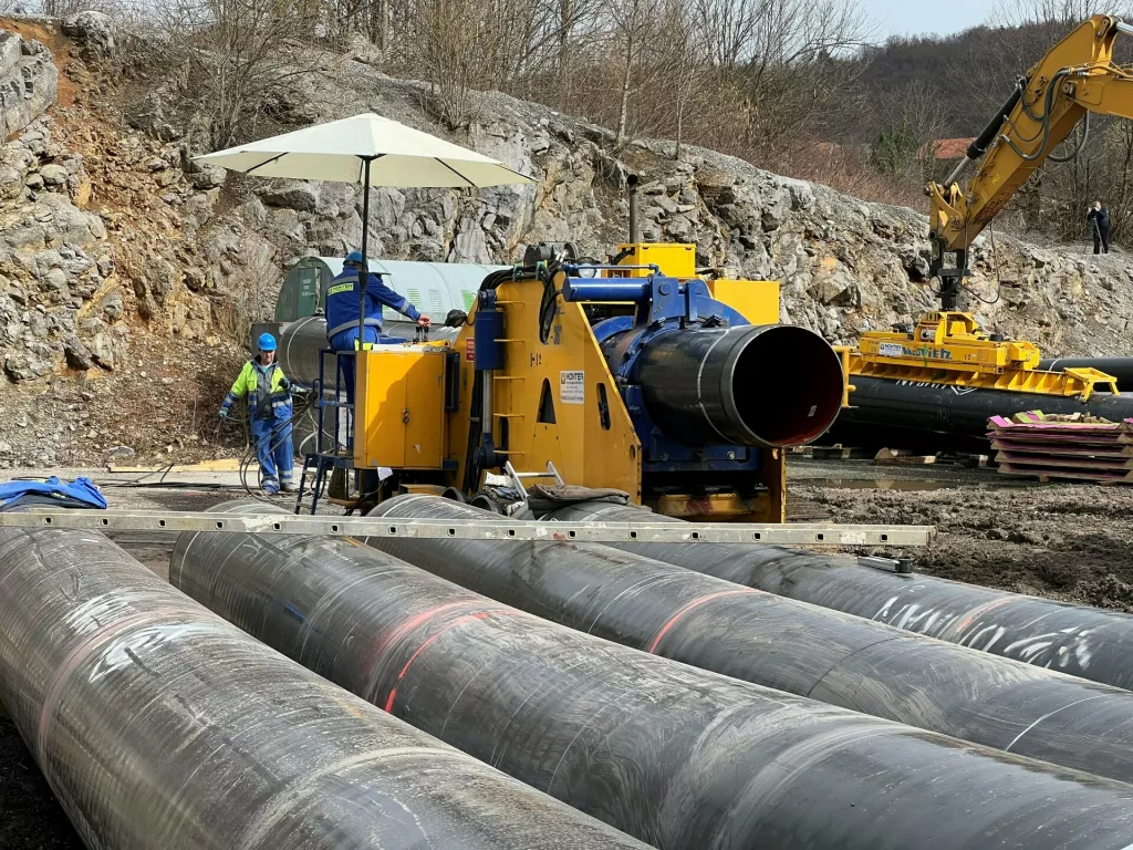 šume, pošumljavanje