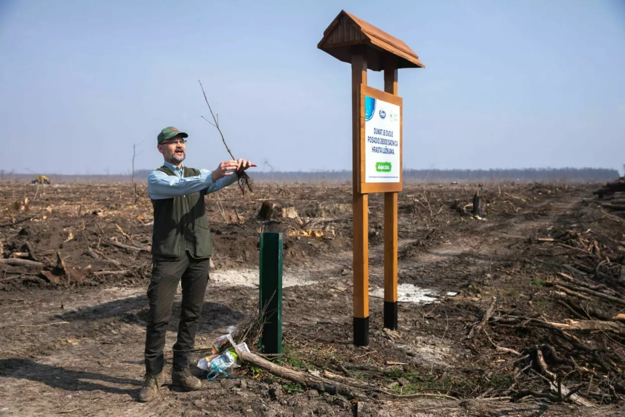 akcija pošumljvanja_3