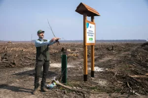 akcija pošumljvanja_3