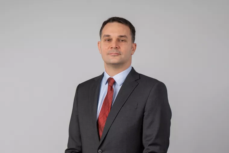 Gordan Kožulj, Deloitte