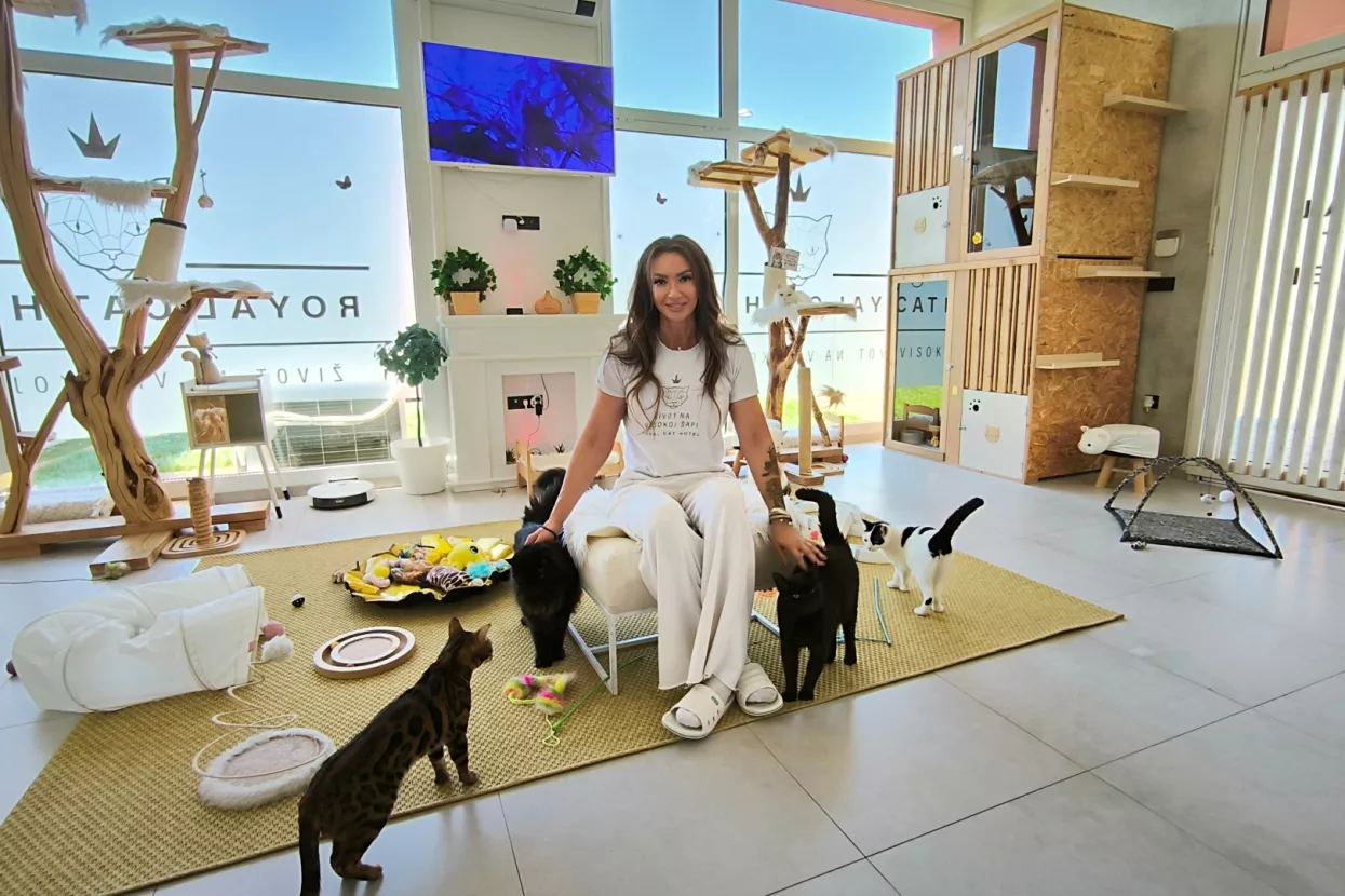 Mirjana Sović, Royal Cat Hotel