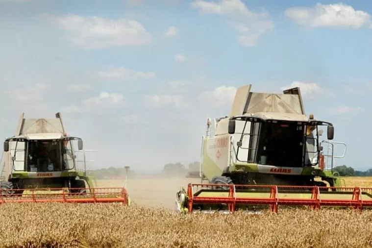 Mađari navodno ponudili najviše za Fortenovine tvrke. Analitičari: To više veze nema s biznisom!