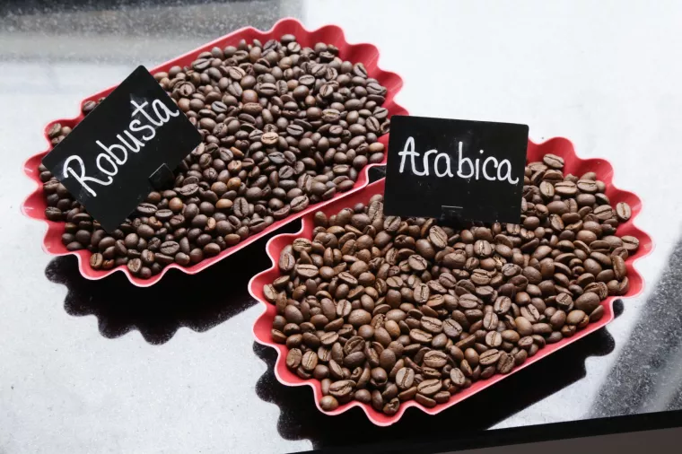 Obilazak Tvornice Franck<br>Kava, proizvodnja kave, tvornica