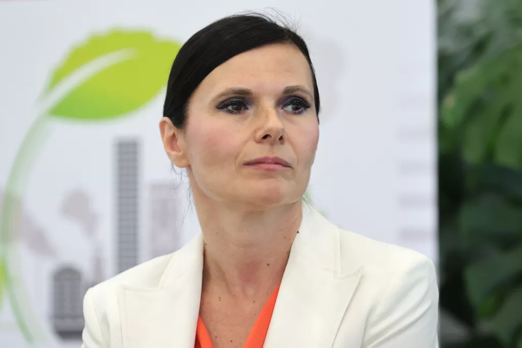 Lider invest Osijek, Panel: Ivana Katavić Milardović