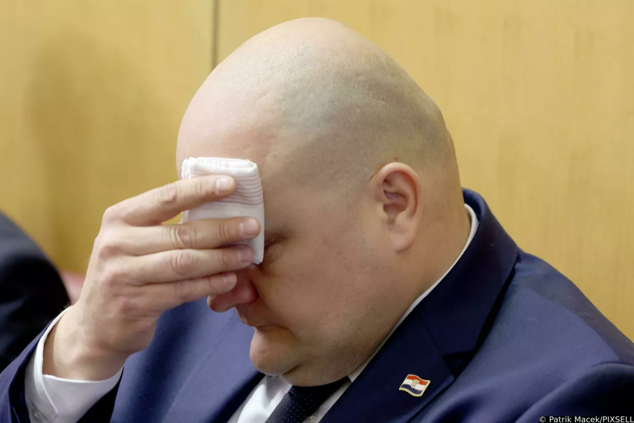 Ante &Scaron;u&scaron;njar, ministar gospodarstva 